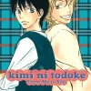 Kimi ni Todoke: From Me to You, Vol. 8