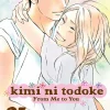 Kimi ni Todoke: From Me to You, Vol. 25