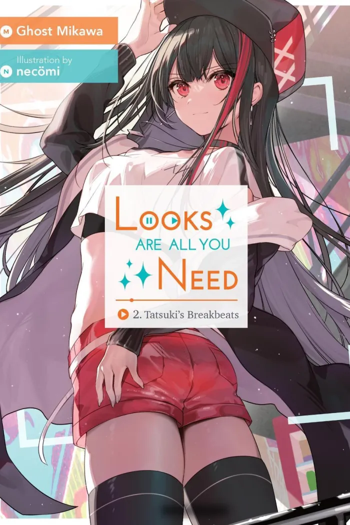 Looks Are All You Need Vol. 02 (Novel)