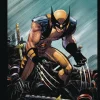 Marvels Deadpool & Wolverine Illustrated Hist Box Set