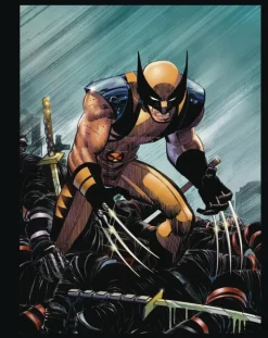 Marvels Deadpool & Wolverine Illustrated Hist Box Set