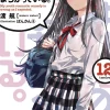 My Youth Romantic Comedy Is Wrong, As I Expected, Vol. 12 (light novel)
