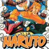 Naruto, Vol. 1