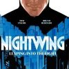 Nightwing Vol. 1: Leaping into the Light