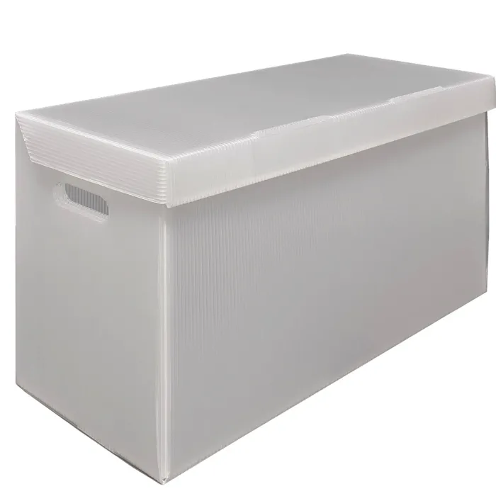 Plastic Comic Box