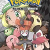 Pokemon Black and White, Vol. 13