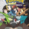 Pokemon Black and White, Vol. 15