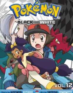 Pokemon Black and White, Vol. 12
