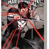 Punisher War Journal