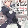 Reborn To Master Blade Vol. 03 (Novel)