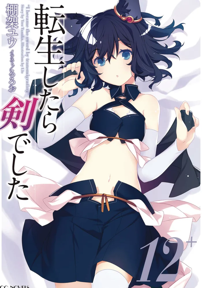 Reincarnated as a Sword: Another Wish Vol. 4