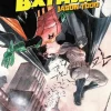 Robin & Batman: Jason Todd