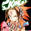 SHAMAN KING Omnibus 1 (Vol. 1-3)