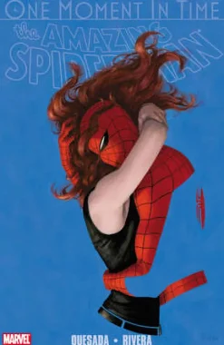SpiderMan: One Moment in Time