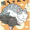 Sue & Tai-chan Vol. 5