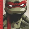 Teenage Mutant Ninja Turtles: The IDW Collection Volume 1