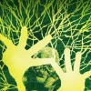 The Swamp Thing by Ram V and Mike Perkins Omnibus