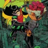 Tim Drake: Robin Vol. 2: A Case of Chaos