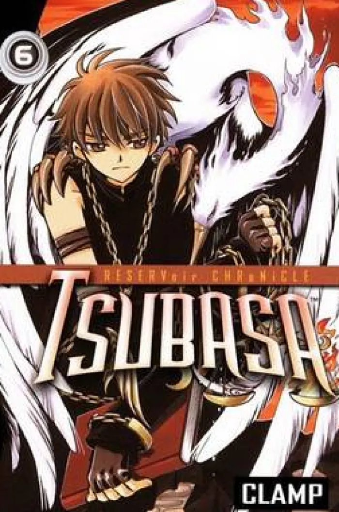 Tsubasa, Vol. 6
