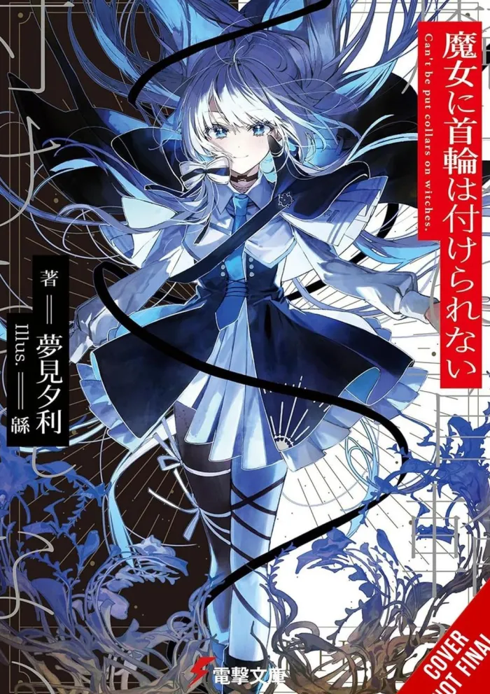 Witches Cant Be Collared Vol. 01 (Novel)