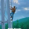 XIII Vol. 24: 2331 Yards