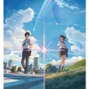 your name. (Light Novel)