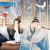 Youve Got Mail Perils of Pigeon Post L Vol. 04 (Novel)